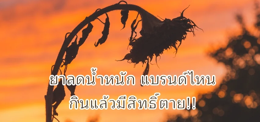 ยาลดน้ำหนัก แบรนด์ไหนกินแล้วมีสิทธิ์ตาย