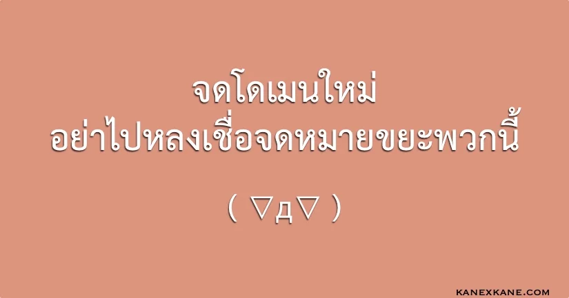 เมื่อจดโดเมนใหม่ อย่าไปหลงเชื่อสิ่งเหล่านี้